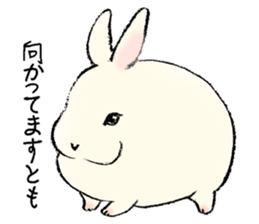 Baby rabbits sticker #4290075