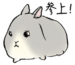 Baby rabbits sticker #4290076