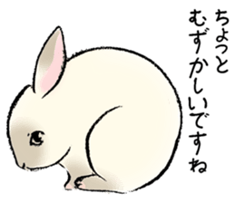 Baby rabbits sticker #4290077