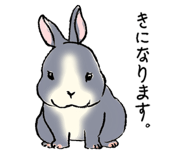 Baby rabbits sticker #4290078