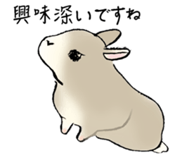 Baby rabbits sticker #4290080