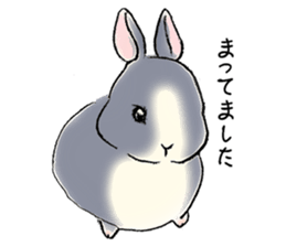 Baby rabbits sticker #4290084