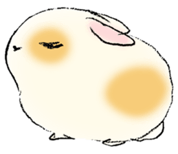 Baby rabbits sticker #4290086