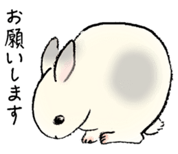 Baby rabbits sticker #4290090