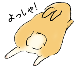 Baby rabbits sticker #4290092