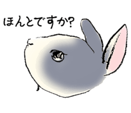 Baby rabbits sticker #4290094