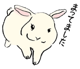 Baby rabbits sticker #4290095