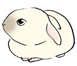 Baby rabbits sticker #4290100