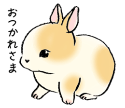 Baby rabbits sticker #4290101