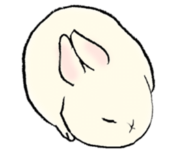 Baby rabbits sticker #4290103
