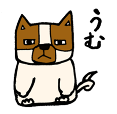 dog,cat sticker #4291599