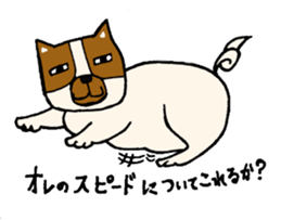 dog,cat sticker #4291607
