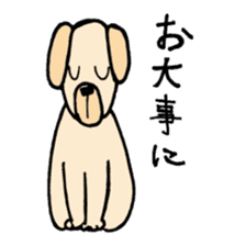 dog,cat sticker #4291614