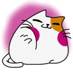 Marshmallow cat maro
