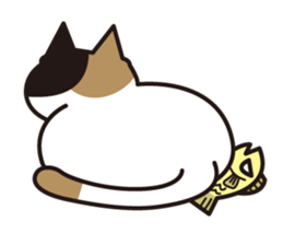 Cat & Fish sticker #4292368