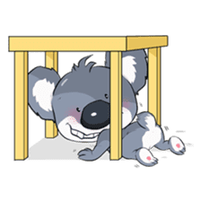Koalas face extinction His name is Kolly sticker #4293442