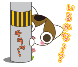 Cat rabi edition sticker #4293612