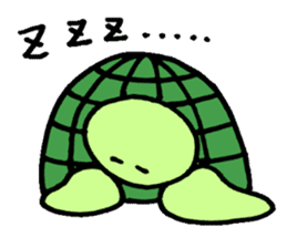Daily turtle sticker #4294147