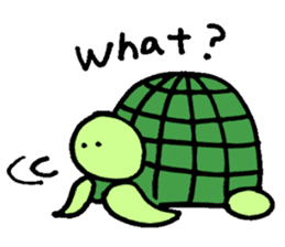Daily turtle sticker #4294150