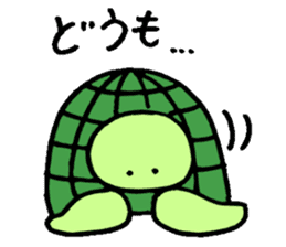 Daily turtle sticker #4294155