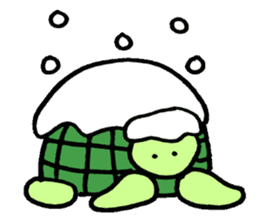 Daily turtle sticker #4294159