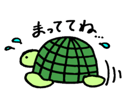 Daily turtle sticker #4294163