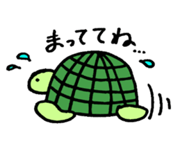 Daily turtle sticker #4294163
