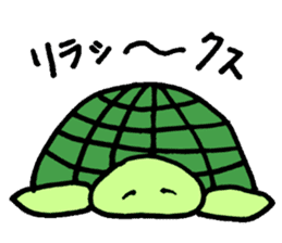 Daily turtle sticker #4294164
