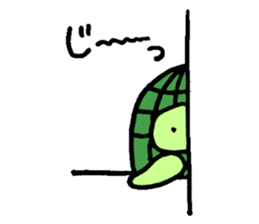 Daily turtle sticker #4294168