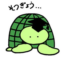 Daily turtle sticker #4294169