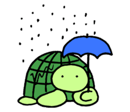 Daily turtle sticker #4294170