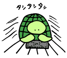 Daily turtle sticker #4294179