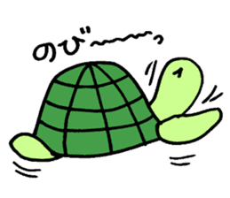 Daily turtle sticker #4294180