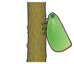 Green flatid planthopper sticker #4295824