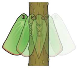 Green flatid planthopper sticker #4295825