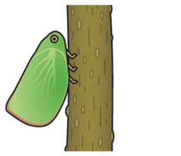 Green flatid planthopper sticker #4295826