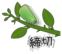 Green flatid planthopper sticker #4295833