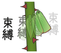 Green flatid planthopper sticker #4295836