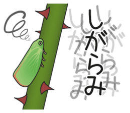 Green flatid planthopper sticker #4295837