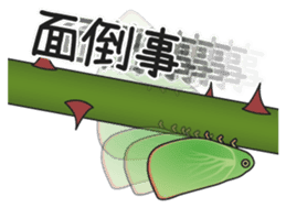 Green flatid planthopper sticker #4295838