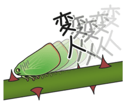Green flatid planthopper sticker #4295839