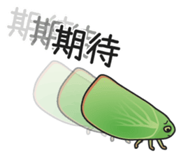 Green flatid planthopper sticker #4295840