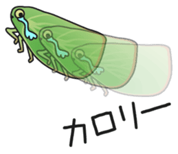 Green flatid planthopper sticker #4295842