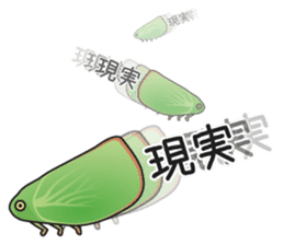 Green flatid planthopper sticker #4295844
