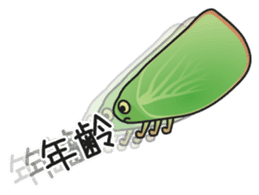 Green flatid planthopper sticker #4295846