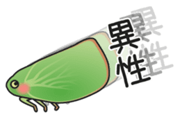 Green flatid planthopper sticker #4295848