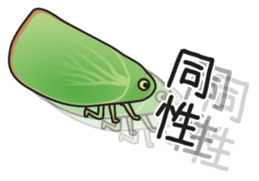 Green flatid planthopper sticker #4295849