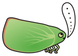 Green flatid planthopper sticker #4295854