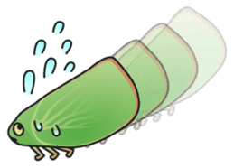 Green flatid planthopper sticker #4295857