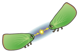 Green flatid planthopper sticker #4295858